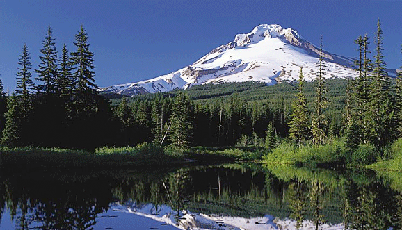 Page Photo Visiting Nw