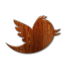 New Twitter Bird